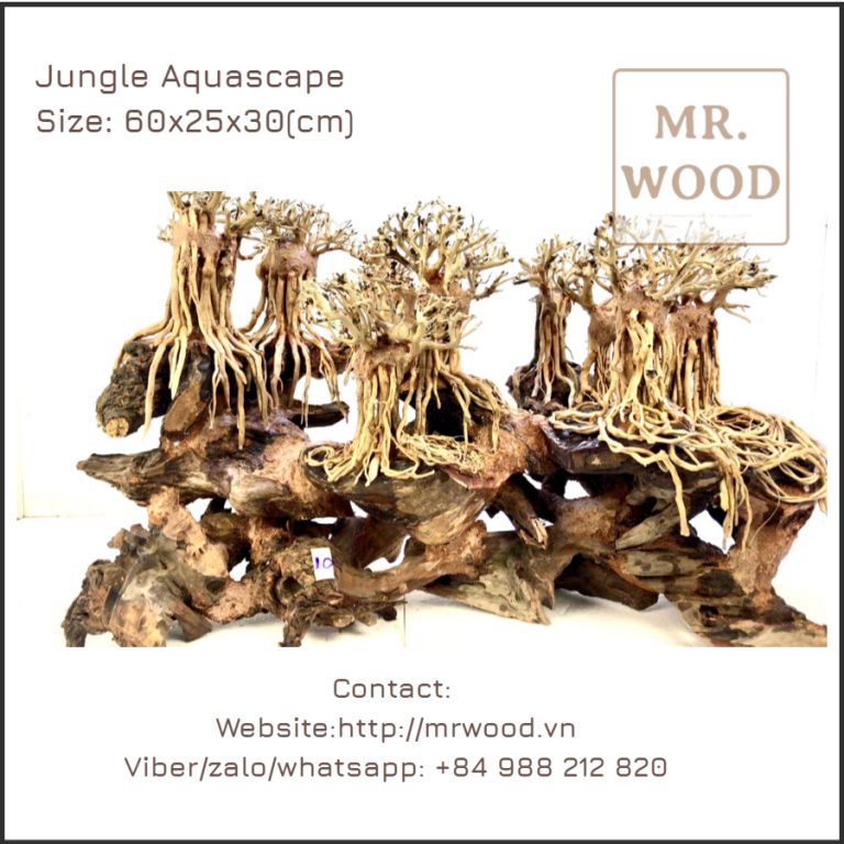 Layout Rừng Indo - Xưởng Lũa Mr Wood