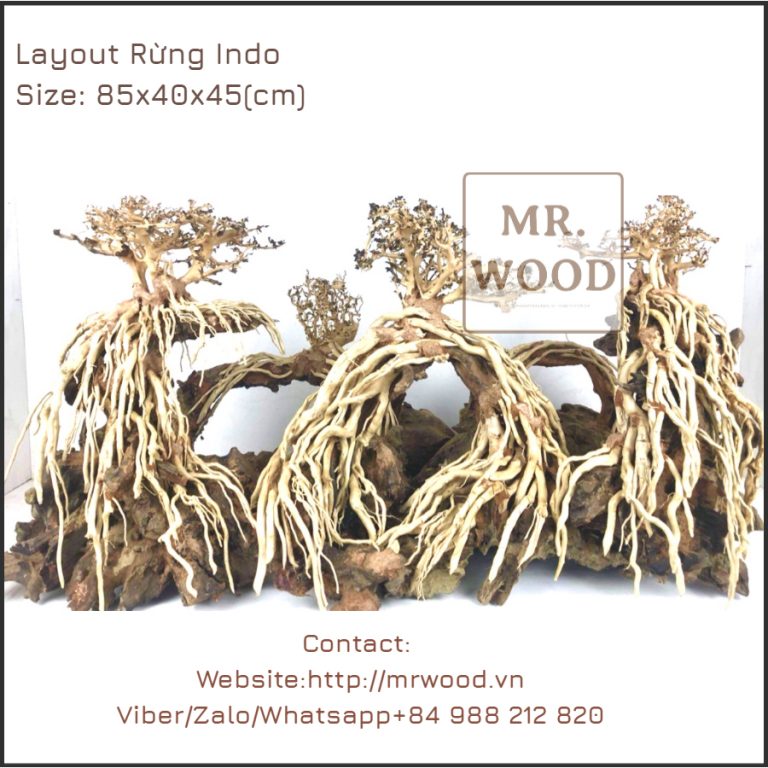 Layout Rừng Indo - Xưởng Lũa Mr Wood