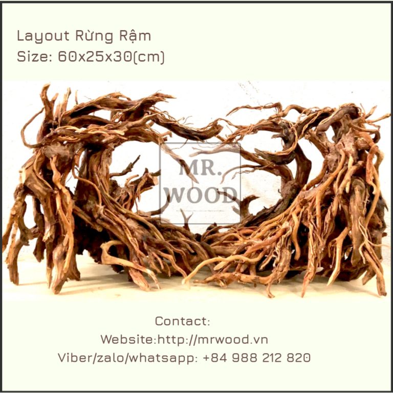 Layout Rừng Rậm - Xưởng Lũa Mr Wood