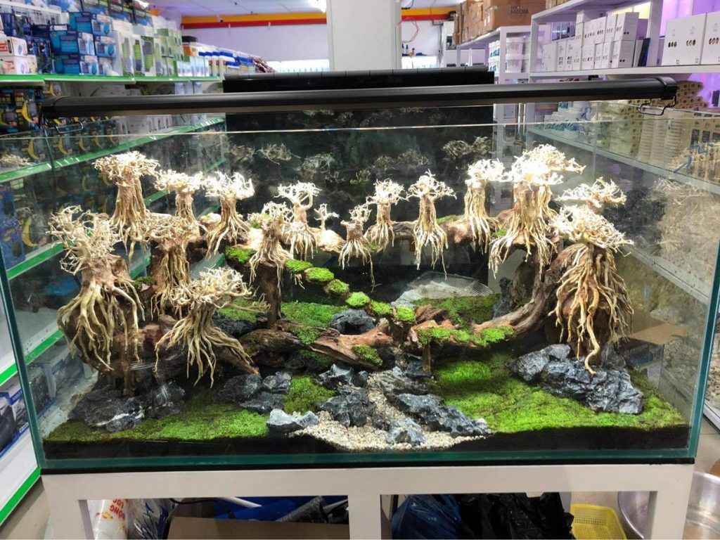 Layout Rừng Bay - Xưởng Lũa Mr Wood