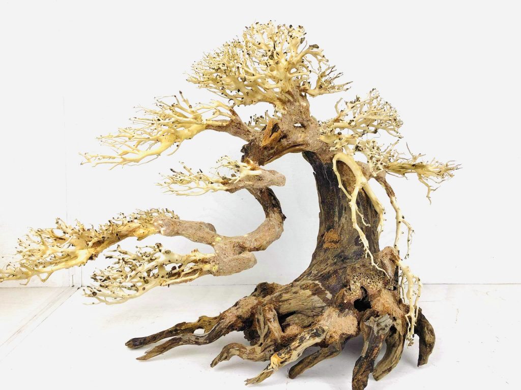 Xưởng Lũa Mr Wood