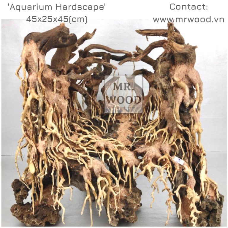 Layout Rừng Cho Bể Cubic - Xưởng Lũa Mr Wood