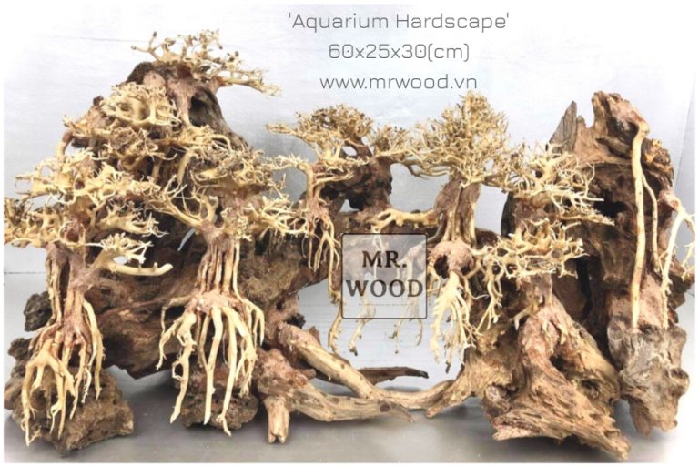 Layout Rừng 60cm - Xưởng Lũa Mr Wood